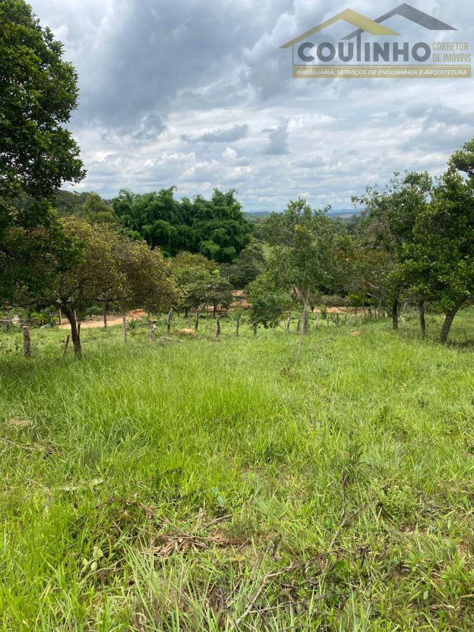 WhatsApp Image 2026-01-29 at 20.11.50.jpeg